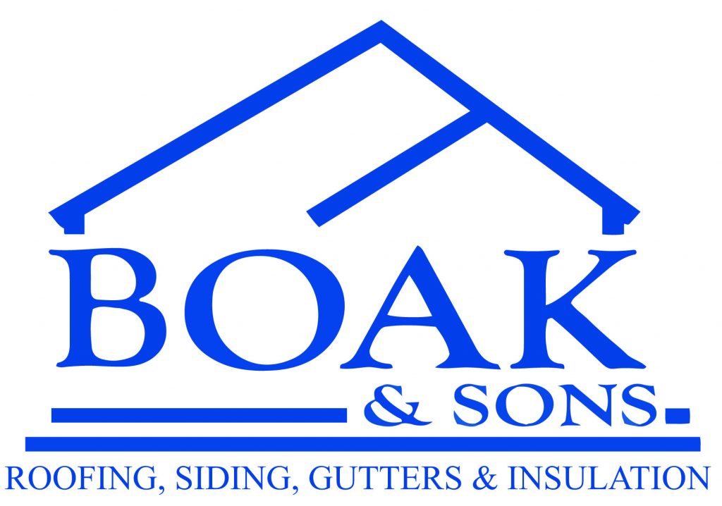 Boak logo Vectoring
